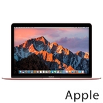 Ремонт Apple MacBook Mid в Ульяновске